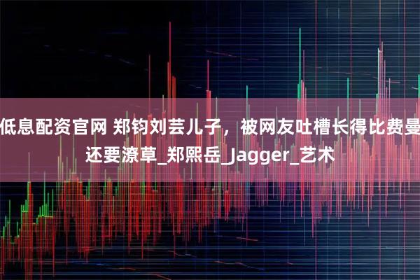 低息配资官网 郑钧刘芸儿子，被网友吐槽长得比费曼还要潦草_郑熙岳_Jagger_艺术