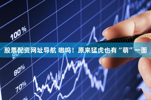 股票配资网址导航 嗷呜！原来猛虎也有“萌”一面