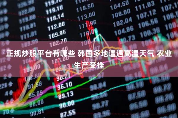 正规炒股平台有哪些 韩国多地遭遇高温天气 农业生产受挫